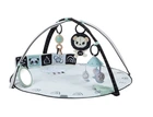 Розвиваючий килимок з дугами Tiny Love Decor (1209206830)