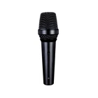 Мікрофон вокальний Lewitt MTP 250 DMs (з перемикачем) (MTP250DMs)