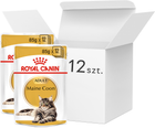 Opakowanie mokrej karmy dla dorosłego kota ROYAL CANIN Maine Coon - saszetki 12 x 85 g (9003579001202)