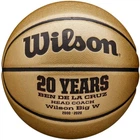 Мяч баскетбольный Wilson Gold Comp Size 7 (WTB1350XB07)