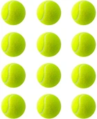 Набор мячей для большого тенниса Newt SWDN Tennis Ball NE-TT-12 12 шт в чехле