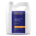 Шампунь для глибокої очистки волосся Master LUX professional 3000 мл