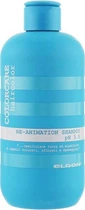 Восстанавливающий шампунь для поврежденных волос Elgon Colorcare Re-Animation Shampoo 300 мл (8053264519896)
