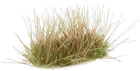 Trawa do dekoru Gamers Grass Grass tufts Autumn Small 5 mm (738956788009)