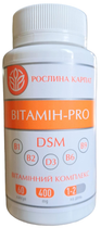 Вітамін PRO Рослина Карпат збалансований вітамінний комплекс, 60 капсул по 500 мг