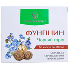 Протигрибковий комплекс Фунгіцин Рослина Карпат, чорний горіх для боротьби з грибковими інфекціями, 60 таблеток по 500 мг