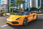 Пазли Castorland "Arrinera Hussarya" 500 елементів 47 х 33 см В-52950