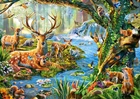 Пазли Castorland "Лісове життя" 500 елементів 47 х 33 см B-52929