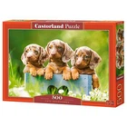 Пазлы Castorland "Щенята таксы" 500 элементов 47 х 33 см В-53605
