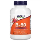 B-50, Now Foods, 250 рослинних капсул