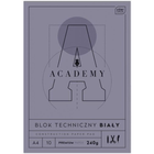 Zestaw bloków technicznych Interdruk Academy A4 10 arkuszy Biały 10 szt (5902277333513)