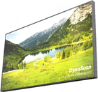 Monitor 65" DynaScan DS653LT5