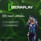 Электронный ключ к сервису MiraPlay «Профи»