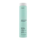 Шампунь Erayba для волос глубоко очищающий ABH Detox Refresh Shampoo 250 мл