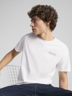 Футболка бавовняна довга чоловіча Puma Graphics 3 Circles Tee 68483402 S Біла (4067983350146)