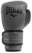 Боксерские перчатки Everlast POWERLOCK 2R TRAINING GLOVE  Серые
