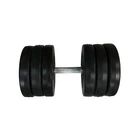 Гантель наборная композитная в пластиковой оболочке Rock Pro-R 16,5 кг NE-PL-R-016