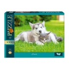 Пазли Danko Toys 1000 елементів C1000-13-05 Friends