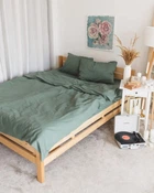Постельное белье евро Dushka Home Вареный хлопок 21041 200х220 см холодный зеленый 4996723
