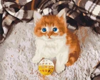 Картина за номерами Игривый котенок 40 х 50 Brushme BS52620