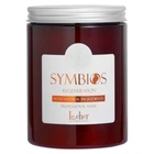 Професійна зволожуюча відновлююча маска для волосся Symbios Le Cher, 1000 мл