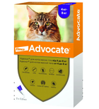 Противопаразитарные капли для крупных кошек и хорьков Elanco Bayer Advocate (Адвокат) массой тела 4 - 8кг (3х0,8мл)