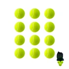 Набор мячей для большого тенниса SWDN Tennis Ball Newt NE-TT-12 в чехле 12 штук