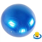 Фитбол 75 см Newt 487-626-2-B K, HMS, с насосом, латексный, Синий (487-626-2-B-RT)