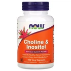 Choline and Inositol Холин и Инозитол Now Foods 500 мг 100 капсул