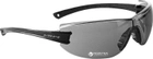Защитные очки Swiss Eye F-22 Серые (23700551) - изображение 1
