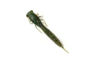 Силікон FANATIK X-Larva 2'' 005