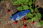 Карманный нож Ruike P105 Blue (P105-Q) - изображение 6