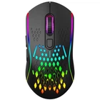 Мышь игровая XTRIKE ME GW-611 gaming mouse RGB, 800-8000 6 step DPI, 2.4G, Type-C, black