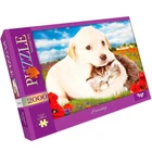 Класичні пазли Danko Toys C2000-01-09 P, Friendship, Дружба, 60x94 см (C2000-01-09-RT)