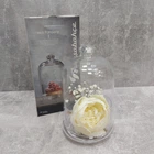 Емкость с крышкой (лимонница, конфета) 505 мл Pasabahce Pattiserie 96889