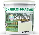 Цветная фасадная Силиконовая краска SkyLine Силиконфасад 1010-G50Y Энтелар 1 л (4821044017399)