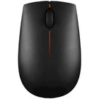 Lenovo 300 Compact (GX30K79401)