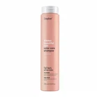 Шампунь Erayba для окрашенных волос ABH Color Care Shampoo 250 мл