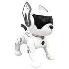 Собака робот на радиоуправлении подсветки, озвучивание англ. языком, звуки, мелодии, сказки, пульт Белый (i7-163985)
