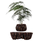 Магнітний левітаційний горщик для рослин HCNT Magnetic Levitating Pot M5B-PW Brown M005B-PW