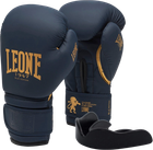Боксерские перчатки Leone GN059