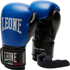 Боксерские перчатки Leone GN383 Thunder