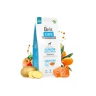 Корм для молодых собак больших пород Brit Care Dog Grain-free Junior Large Breed беззерновой с лососем