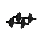Гантелі складальні литі Newt NE-300-GP007-2, 2 шт по 6,5 кг