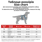 Шлея для собак анатомічна H-подібна WAUDOG Nylon Recycled з QR-паспортом, градієнт, пластиковий фастекс, помаранчевий, розмір M