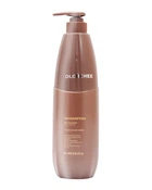 Шампунь проти лупи OLORCHEE Anti Dandruff Shampoo 800ml