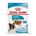 Упаковка полнорационный влажный корм для собак Royal Canin Puppy X-Small