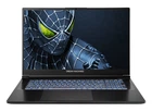 Ноутбук Dream Machines RG5050-17 (RG5050-17UA29) Black
