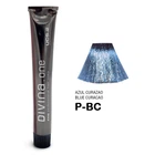 Краска для волос Eva Professional Divina.one