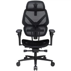 Крісло для геймерів ThunderX3 Flex Pro Mesh Black (TEGC-3076101.12)